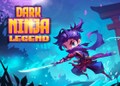 Dark Ninja Legend