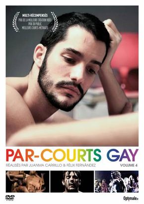 Par-Courts Gay - Volume 4