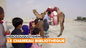 Héros du quotidien : le chameau bibliothèque