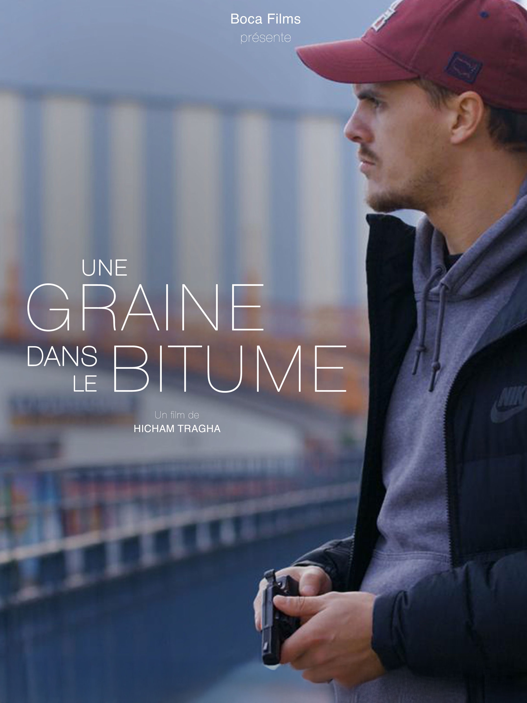 Une graine dans le bitume