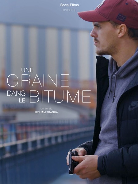 Une graine dans le bitume