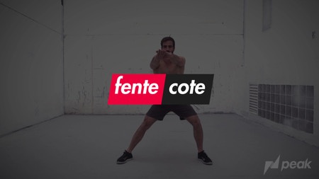 Fente Cote