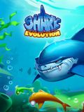 Shark Evolution