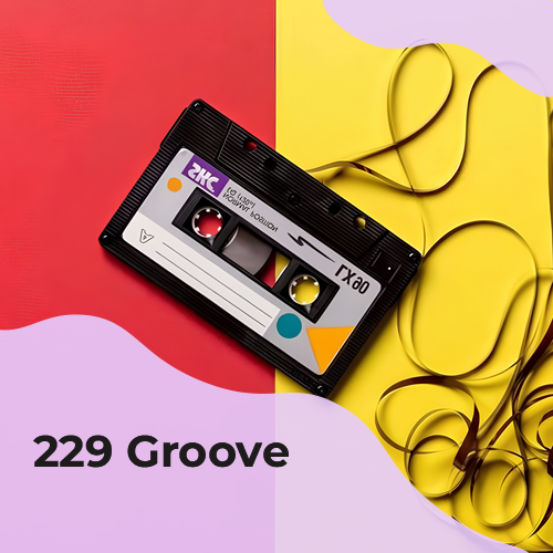229 Groove