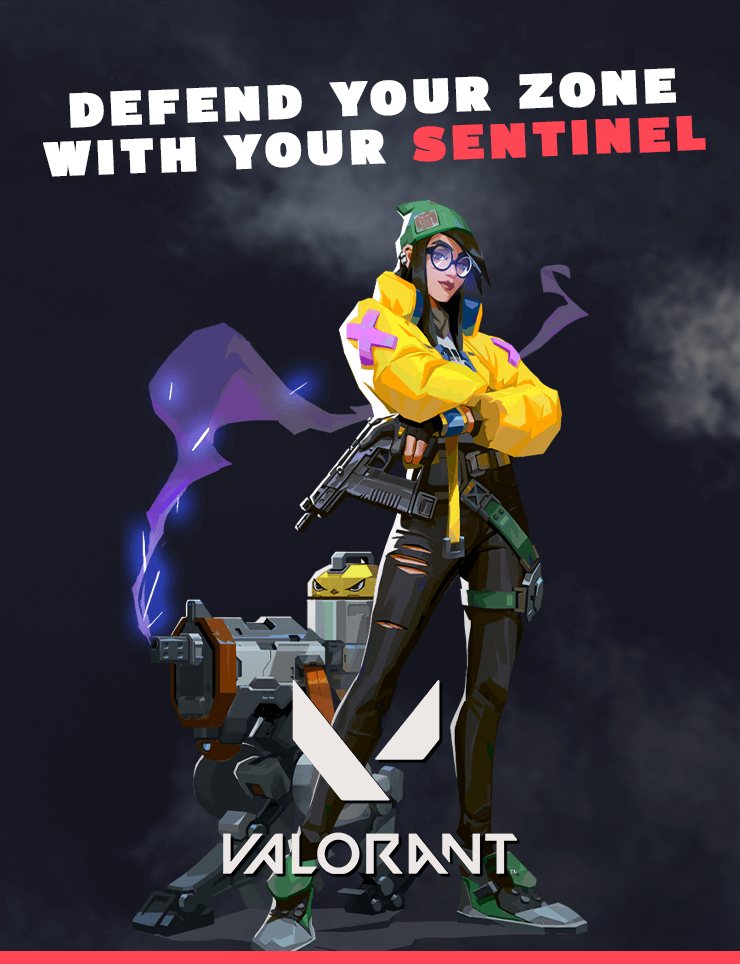 Valorant : The sentinel