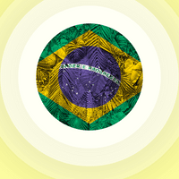 وجهة البرازيل