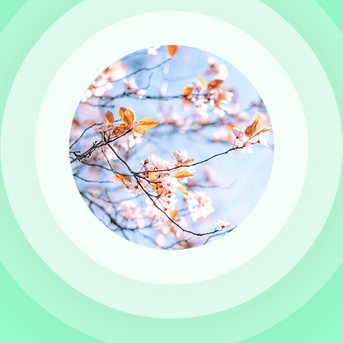 Le Printemps s’éveille