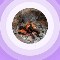 Disney Channel Originals