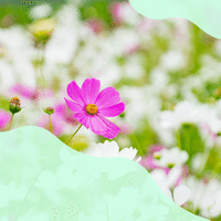 Le retour des beaux jours