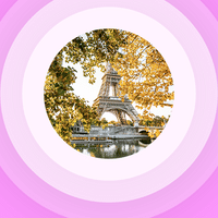 Top Variété Française