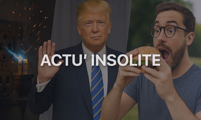 Actu Insolite